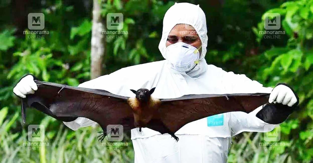 കോഴിക്കോട് വീണ്ടും നിപ; രോഗം സ്ഥിരീകരിച്ചത് 40കാരന്