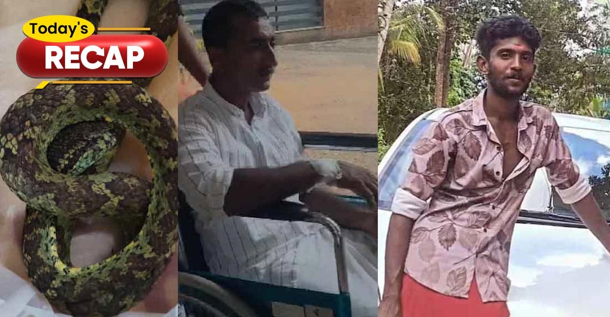 കടിച്ച പാമ്പുമായി ആശുപത്രിയിലെത്തി യുവാവ്; നാട്ടാനകളുടെ ആക്രമണത്തിൽ 2 പേർക്ക് ദാരുണാന്ത്യം